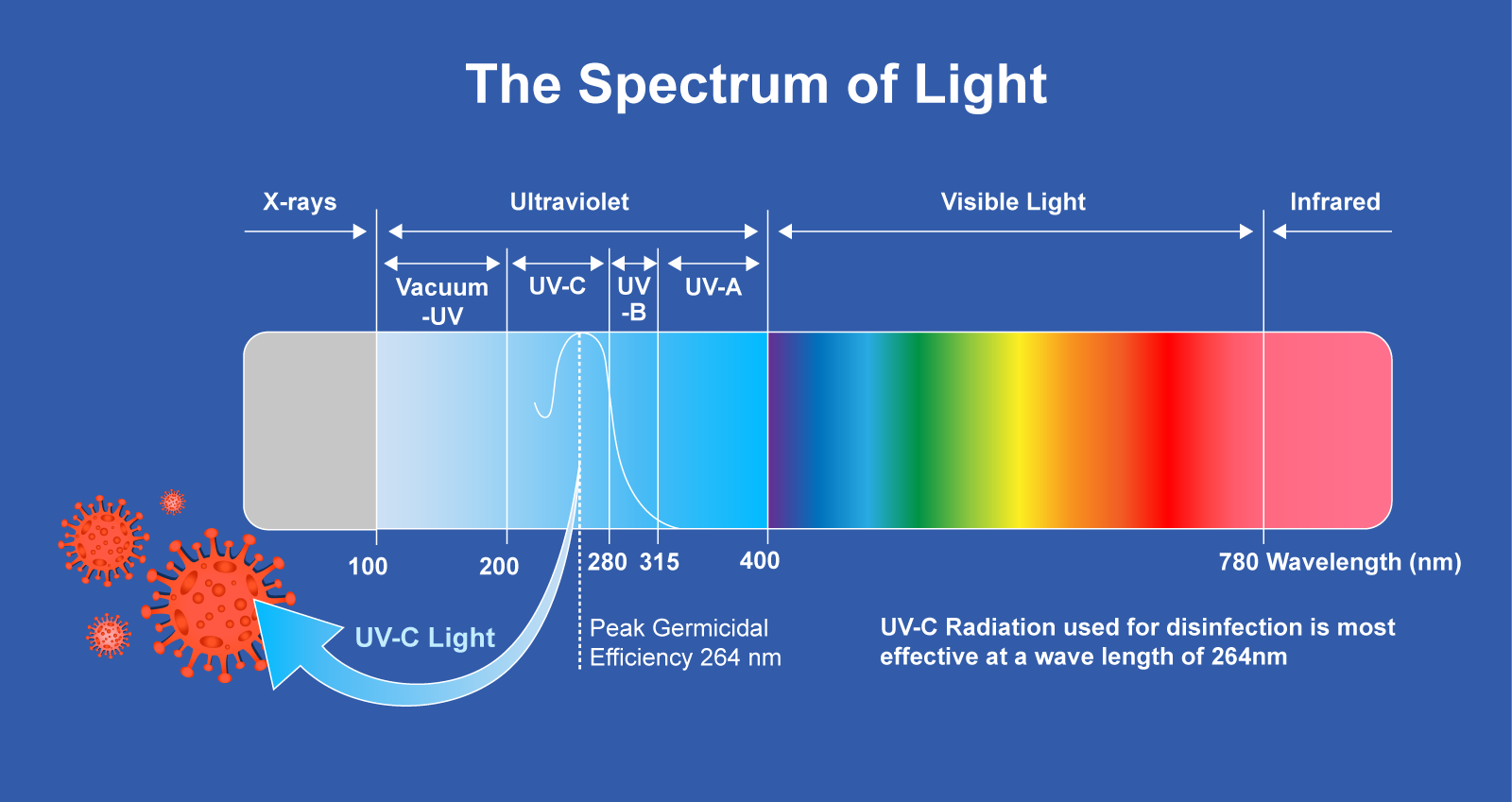 graphic of light spectrum